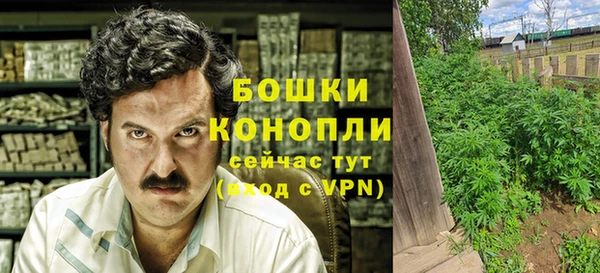 спайс Нягань