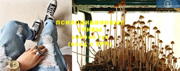 mdpv Аша