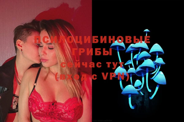 крисы Михайловск