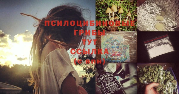apvp Нязепетровск