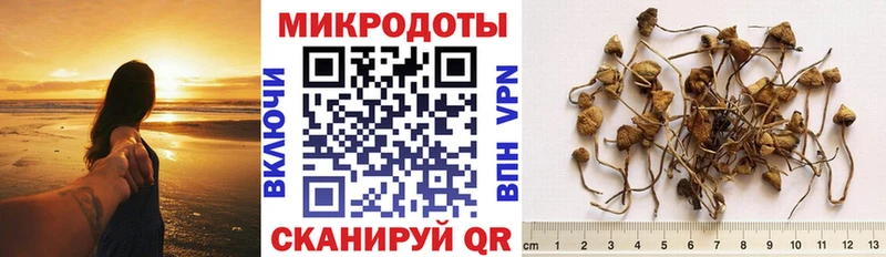 Псилоцибиновые грибы мухоморы  Новотроицк 